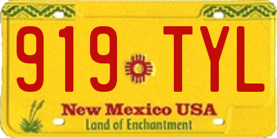 NM license plate 919TYL