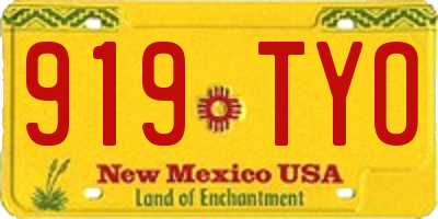NM license plate 919TYO