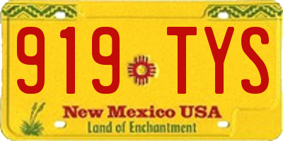 NM license plate 919TYS