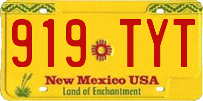 NM license plate 919TYT