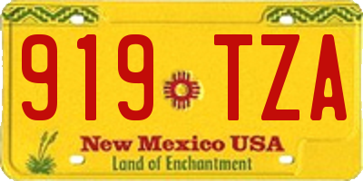 NM license plate 919TZA