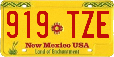 NM license plate 919TZE