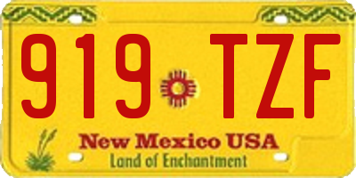 NM license plate 919TZF