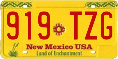NM license plate 919TZG