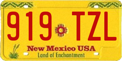 NM license plate 919TZL