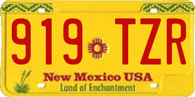 NM license plate 919TZR