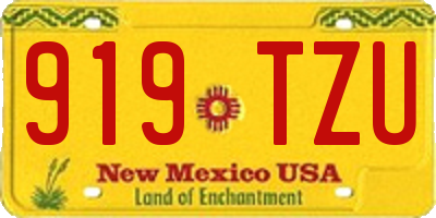 NM license plate 919TZU