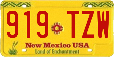 NM license plate 919TZW