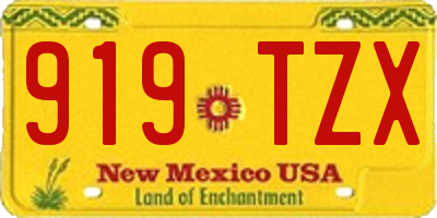 NM license plate 919TZX