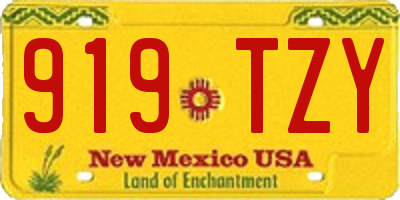 NM license plate 919TZY