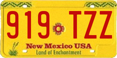 NM license plate 919TZZ