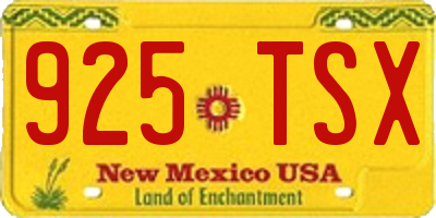 NM license plate 925TSX