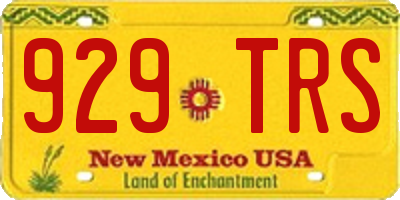 NM license plate 929TRS