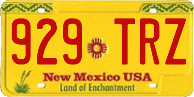 NM license plate 929TRZ