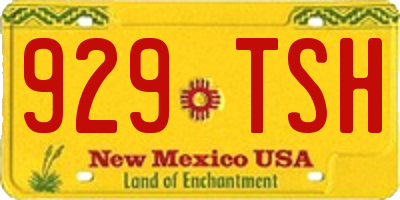 NM license plate 929TSH