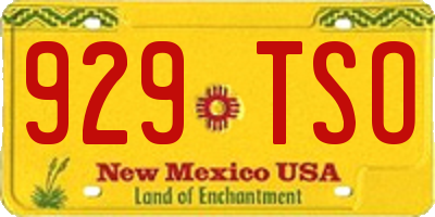 NM license plate 929TSO