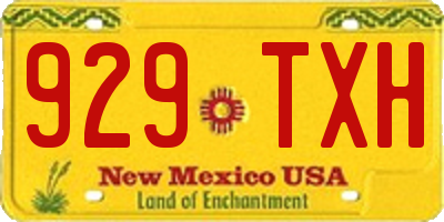 NM license plate 929TXH