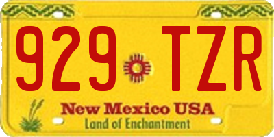 NM license plate 929TZR