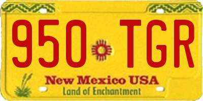 NM license plate 950TGR