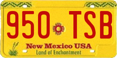 NM license plate 950TSB