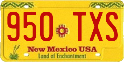 NM license plate 950TXS