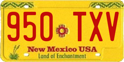 NM license plate 950TXV