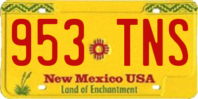 NM license plate 953TNS