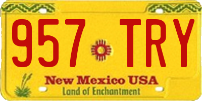 NM license plate 957TRY