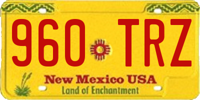 NM license plate 960TRZ