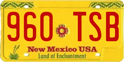 NM license plate 960TSB
