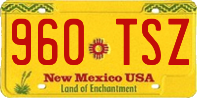 NM license plate 960TSZ