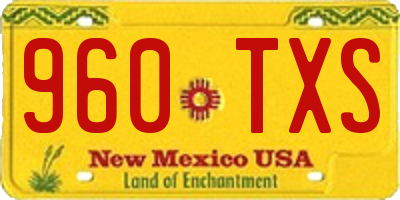 NM license plate 960TXS