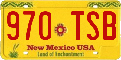 NM license plate 970TSB