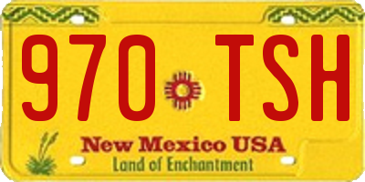 NM license plate 970TSH