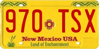 NM license plate 970TSX