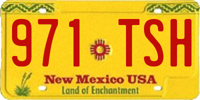 NM license plate 971TSH