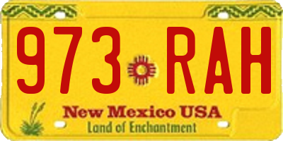 NM license plate 973RAH