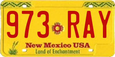 NM license plate 973RAY