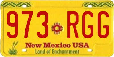 NM license plate 973RGG