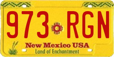 NM license plate 973RGN