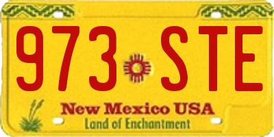 NM license plate 973STE