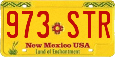 NM license plate 973STR