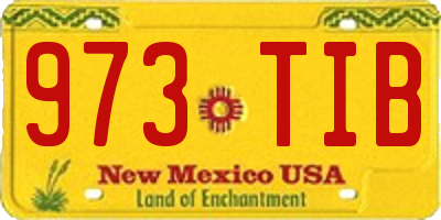 NM license plate 973TIB
