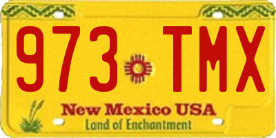 NM license plate 973TMX