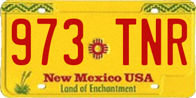 NM license plate 973TNR