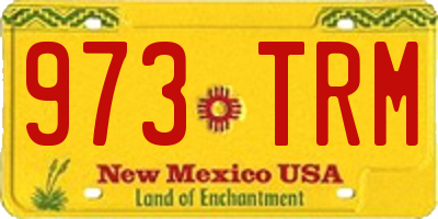 NM license plate 973TRM