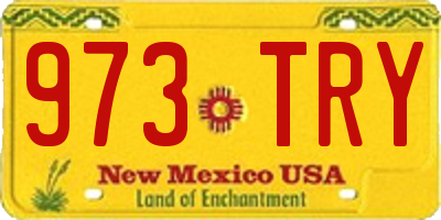 NM license plate 973TRY