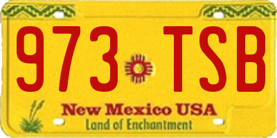 NM license plate 973TSB