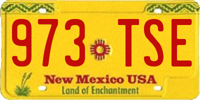 NM license plate 973TSE