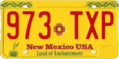 NM license plate 973TXP